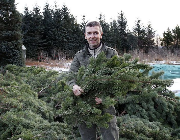 Jólatrjáa- og skreytingasala Skógræktarfélags Hafnarfjarðar, þar sem Steinar vinnur, fer fram í Þöll við Kaldárselsveg í desember.