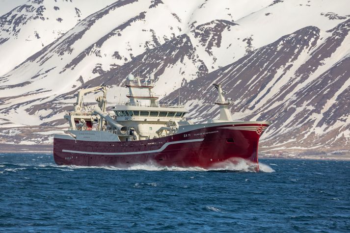 Vilhelm Þorsteinsson EA, sigldi í fyrsta sinn inn Eyjafjörð í gær.