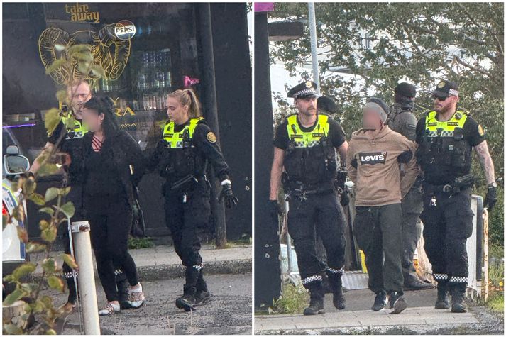 Lögreglan leiddi fjóra úr íbúðinni, þar af þrjá í járnum.