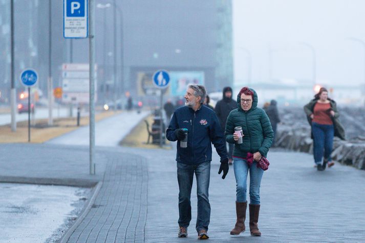 Seinni partinn er útlit fyrir suðaustan hvassviðri eða storm, hvassast SV-lands, en heldur hægari vindur fyrir norðan.