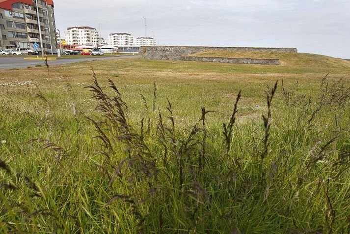 Grasið í Seltjarnarnesbæ er eins og golfvöllur en grasið í Reykjavík þarf sárlega að slá. fréttablaðið/pjetur