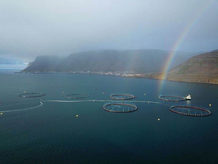 Málið varðar ákvörðun lögreglunnar að hætta rannsókn á strokulöxum úr sjókvíeldi í Patreksfirði.