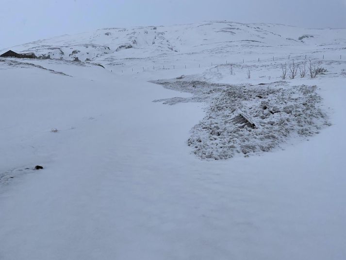 Krapaflóð í Grímsnesi á dögunum.