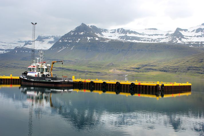 Læknirinn var yfirlæknir í Fjarðabyggð