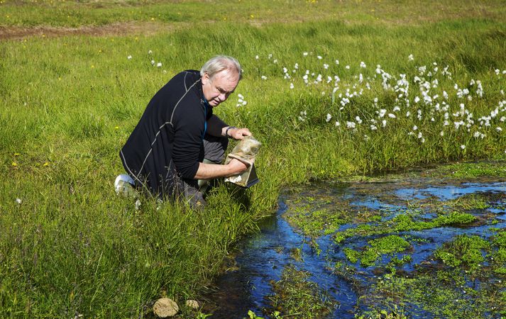 Gísli Már Gíslason við störf í Hengladölum sumarið 2015.