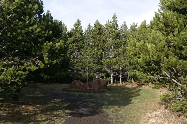 Farið var með manninn upp í Heiðmörk þar sem hann var laminn.