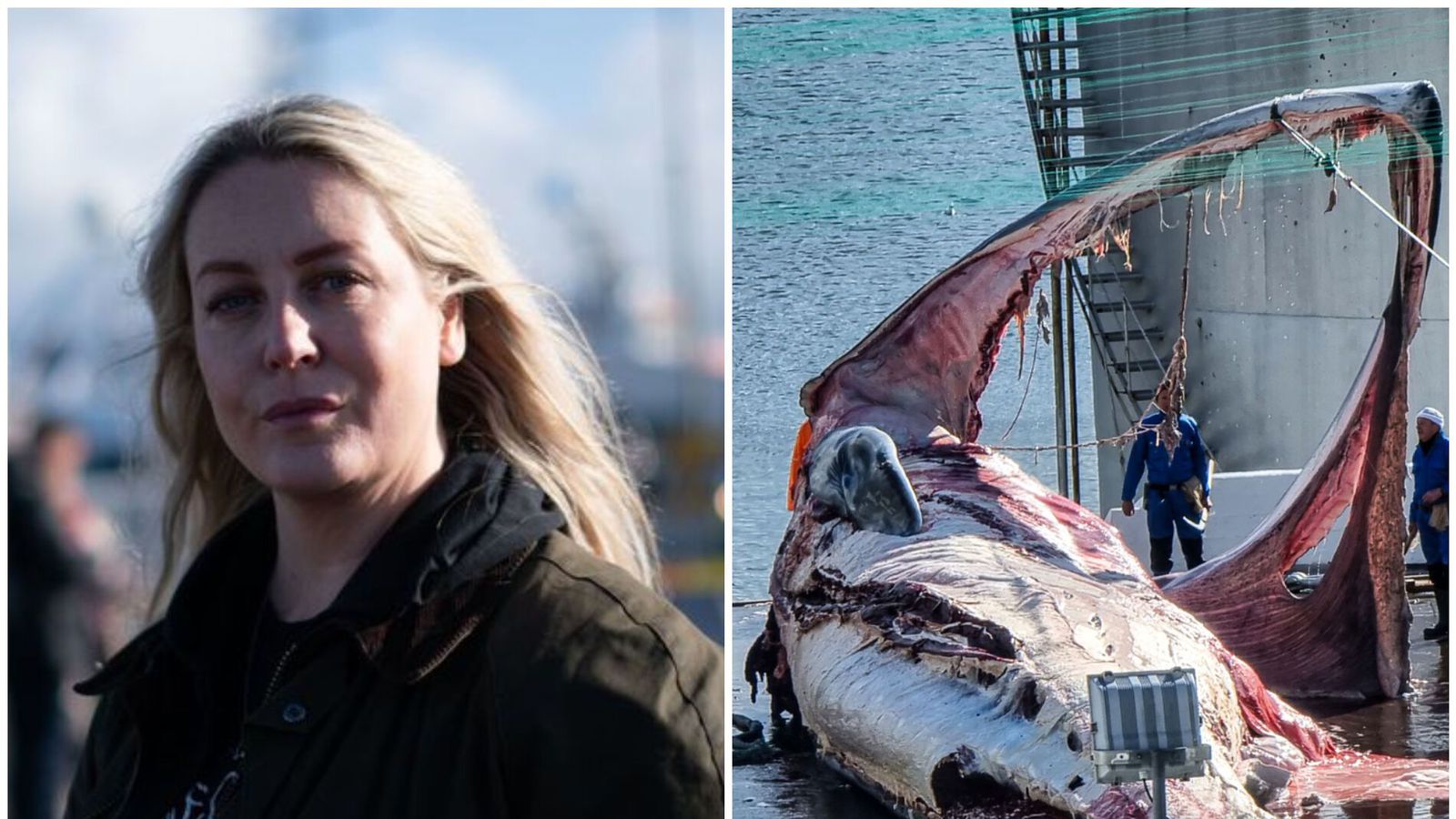 Stefnt á hval­veiðar í sumar: „Það má ekki einn hvalur deyja í sumar“