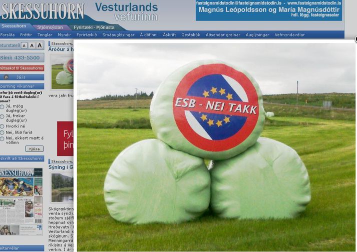 Heyrúllurnar við Grófarafleggjarann í Reykhólsdal.