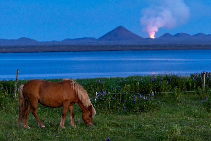 Krafturinn í gosinu dróst saman í nokkra klukkutíma áður en gígbarmurinn féll saman en hefur nú náð fyrri styrk.