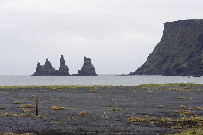 Leitað var meðal annars við Reynisdranga við Vík í Mýrdal.