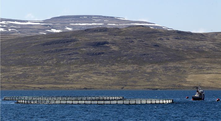 Laxeldi í sjókvíum er vaxandi atvinnugrein á Íslandi.