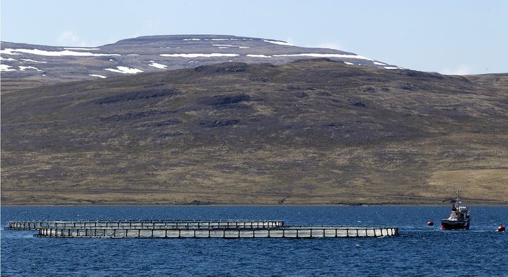 Laxeldi er talið hafa jákvæð áhrif á landshlutann.