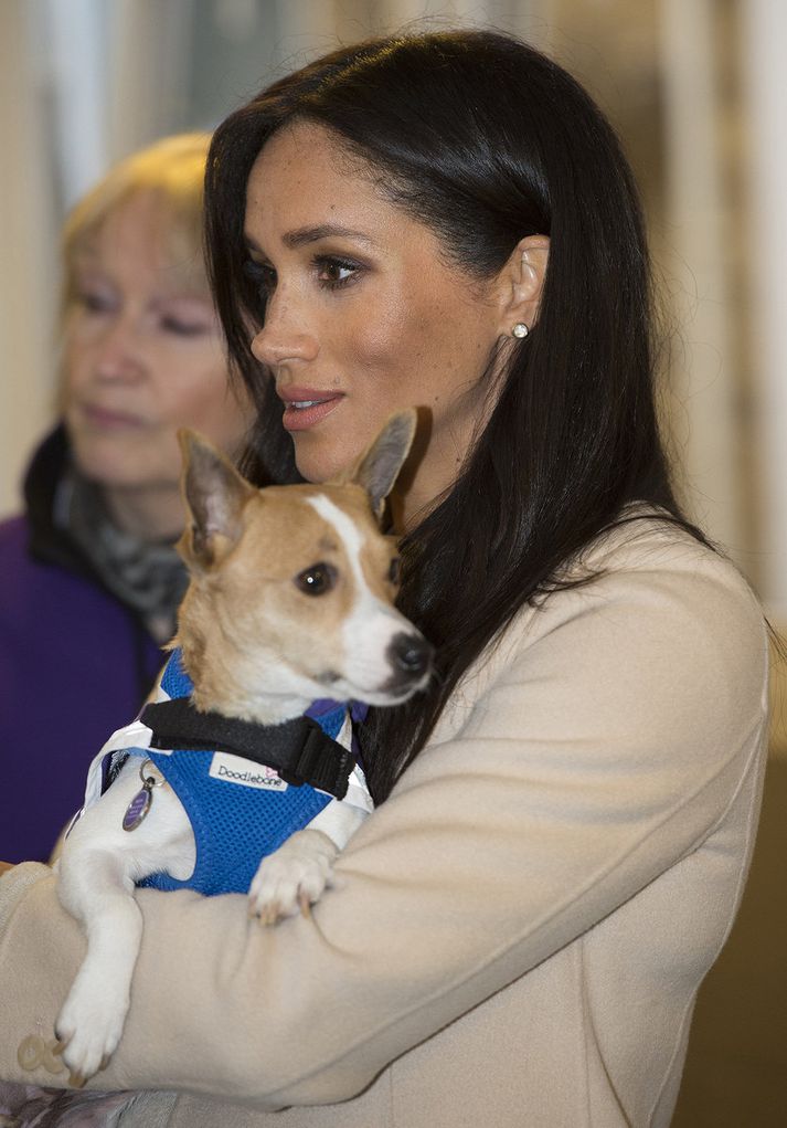 Meghan Markle ásamt hundi þeirra hjóna.