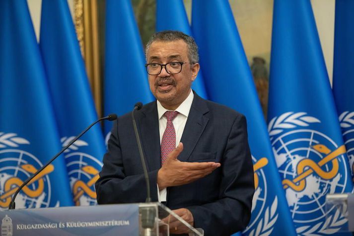 Tedros Adhanom Ghebreyesus ræddi við ráðamenn í Ungverjalandi í gær.