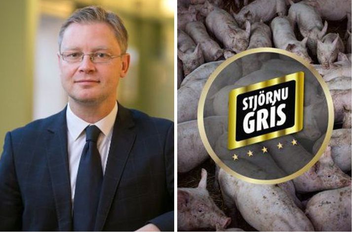 Sigurður Kári Kristjánsson lögmaður Stjörnugríss segir innanbúðarlýsingar frá fyrirtækinu ekki réttar að mati félagsins.