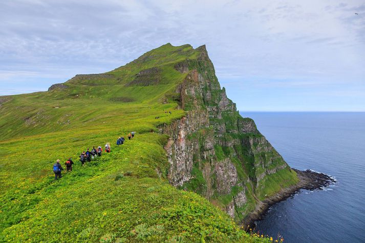 Hornstrandir á Vestfjörðum eru friðlýstar.