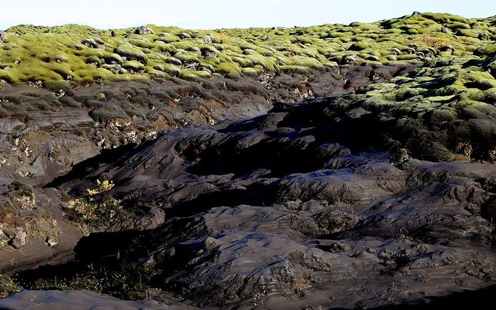 Smátt og smátt breyta jökulhlaupin grónu hrauni í eyðimörk.