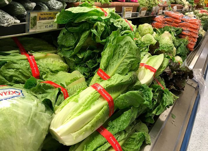 Salatið sem um ræðir er það sem kallað er Romaine lettuce á engilsaxnesku. Á íslensku hefur það verið nefnt  bindisalat, eða rómverskt salat en latneska heitið er Lactuca saliva longifolia. Þá veistu það.