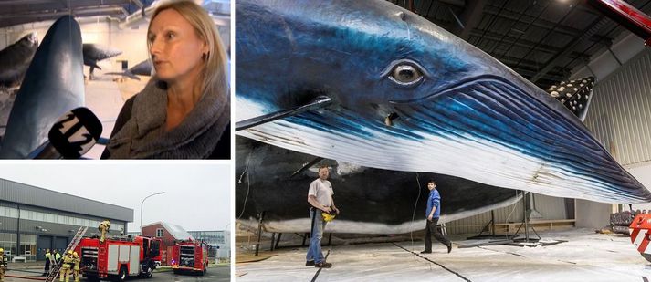 "Það er alltaf áfall þegar hlutirnir ganga ekki eins og maður gerir ráð fyrir. En sem betur fer slasaðist enginn og ekkert skemmdist sem ekki er hægt að laga,“ segir Stella.