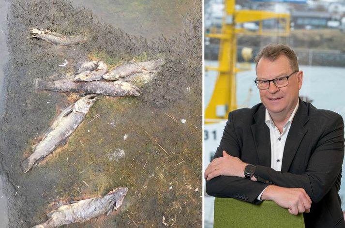 Guðni Guðbergsson hjá Hafrannsóknarstofnun segir stöðun í Grenlæk grafalvarlega.