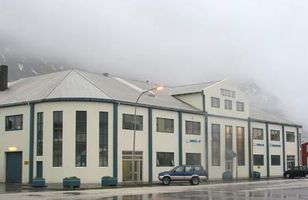 Fréttamynd