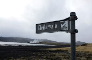 Fréttamynd