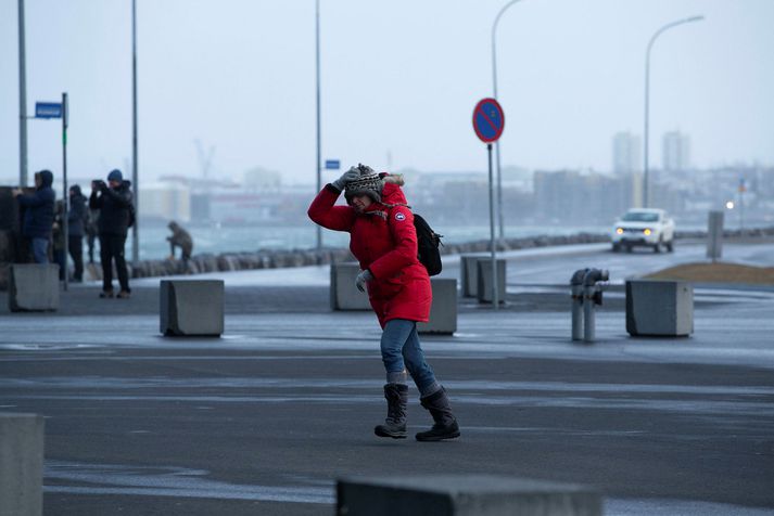 Hvasst hefur verið á höfuðborgarsvæðinu í nótt og í morgun.