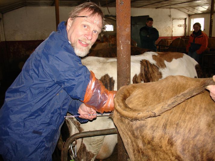 Þorsteinn Ólafsson dýralæknir bregður sér í starf frjótæknis