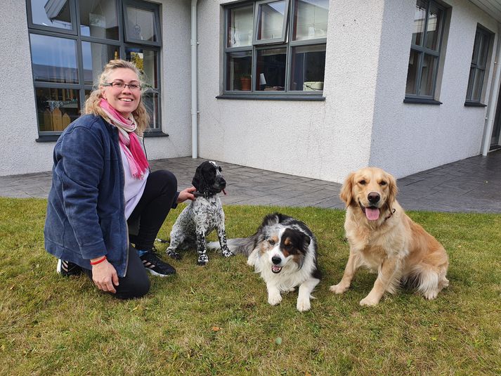 Hundarnir hennar Auðar eru virkilega fallegir og skemmtilegir. Kjói er lengst til vinstri.