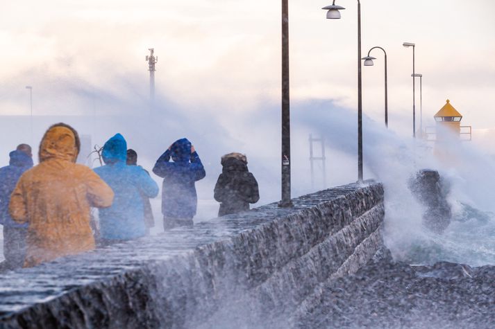 Ferðamenn nutu óveðursins í Reykjavík í dag.