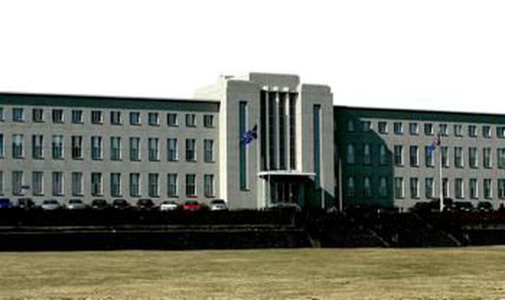 Háskóli Íslands gegnir meðal annarra opinberra stofnanana stóru hlutverki við grunnrannsóknir.