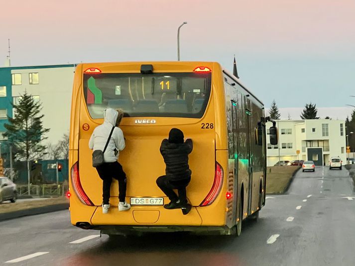 Krakkarnir fóru meðal annars með strætisvagninum yfir fjölfarin gatnamót.