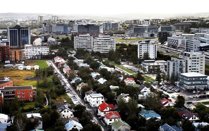 Maðurinn var handtekinn í Reykjavík í gærmorgun.