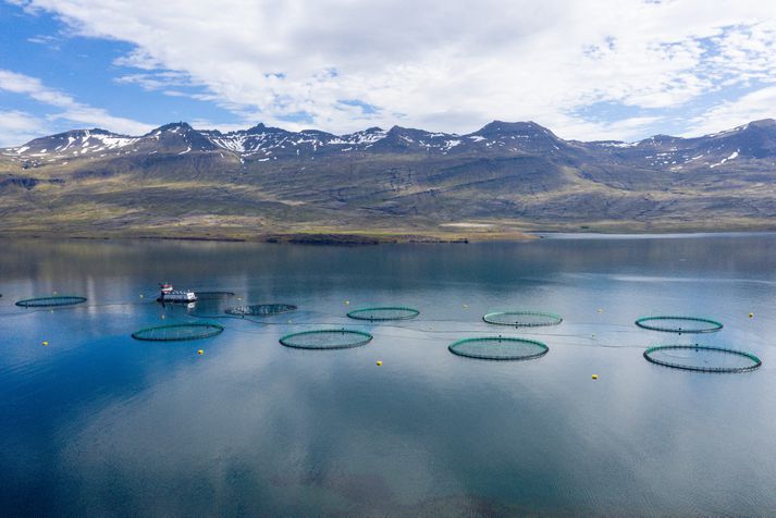 Fiskeldi Austfjarða er með fiskeldi í bæði Berufirði og Fáskrúðsfirði.