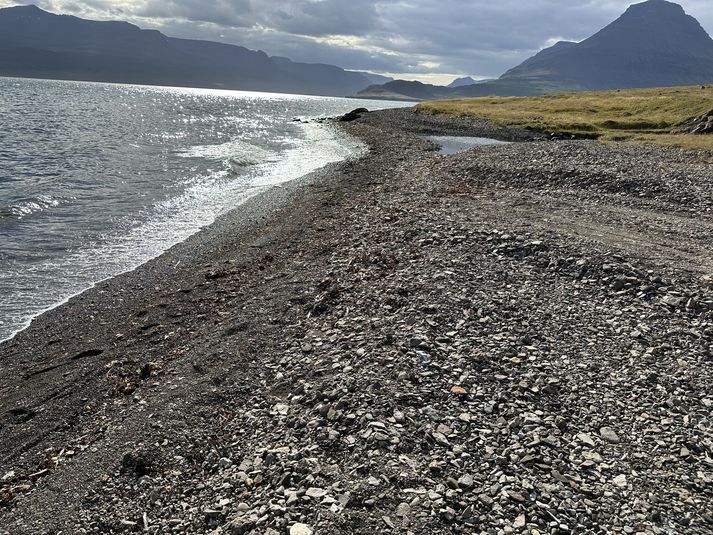 Fjaran er aftur orðin hrein og fín.