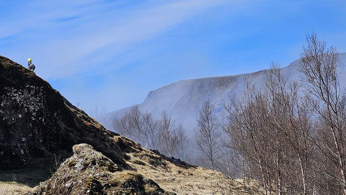 Slökkvilið er við störf við Hellisskóg. 