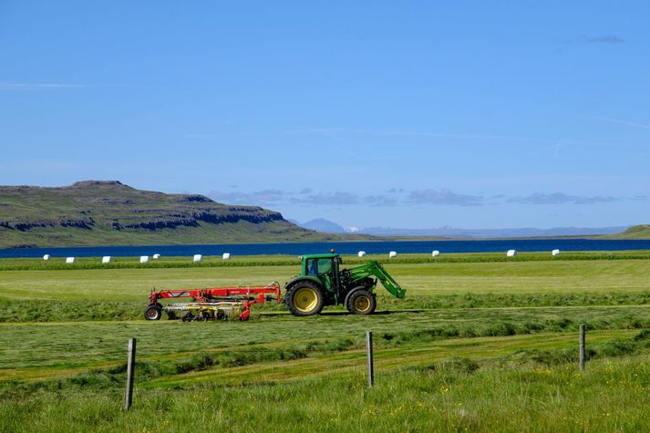 Bóndi við störf.