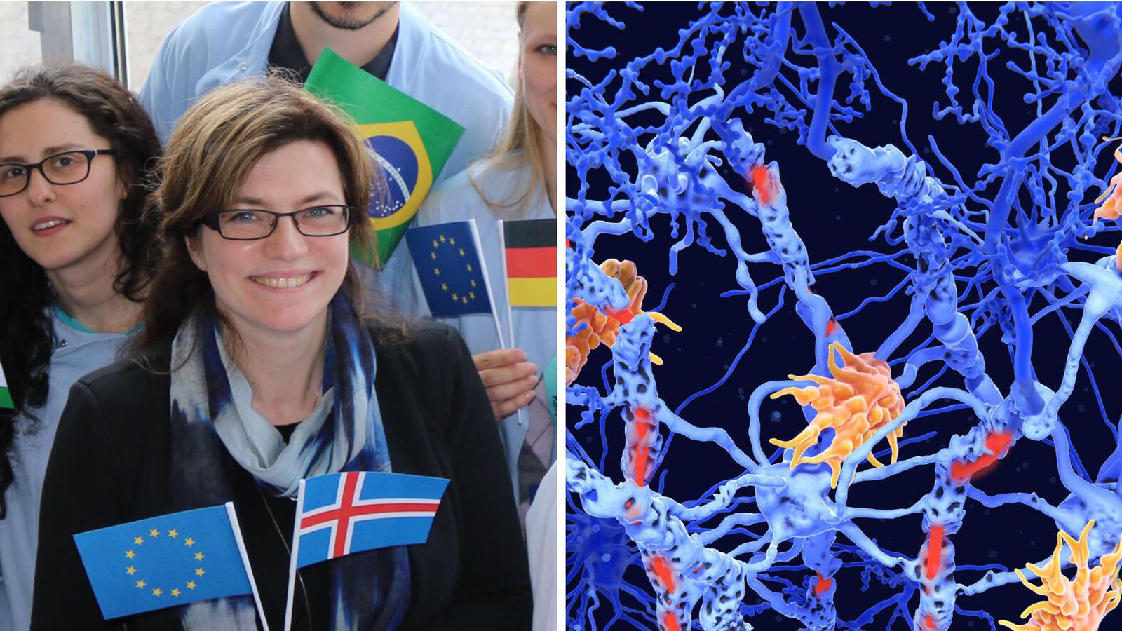 Vekur spurningar um hugsan­lega með­ferð við heilabilun