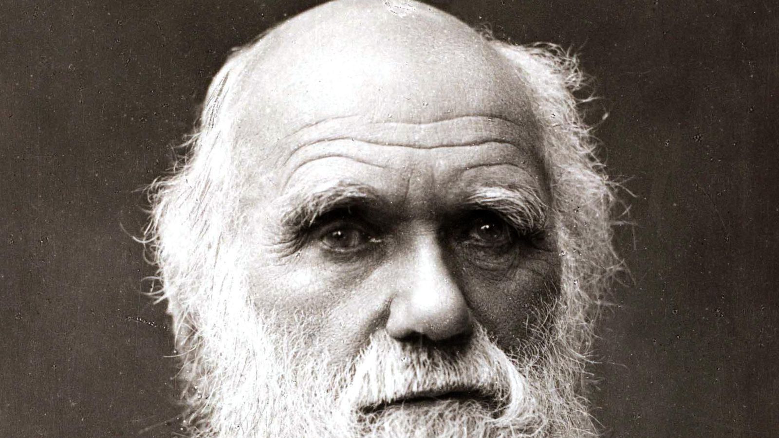 Фрэнсис дарвин. Лаборатория гальтона. Фрэнсис дарвин фото. Эразм дарвин. Чарльз и френсис дарвины.