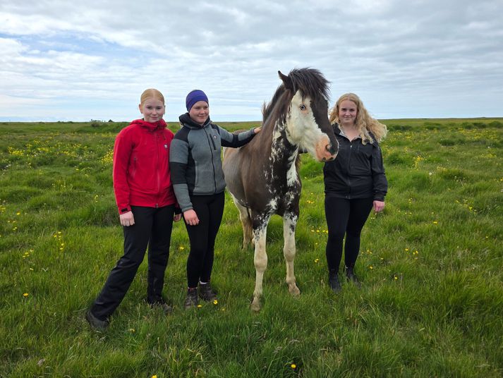 Systurnar í Lindartúni í Vestur-Landeyjum með Prins Greifa sinn en þetta eru þær frá vinstri, María Brá, Ronja Bella og Bríet Auður. Eins og sjá má er hesturinn mjög fallegur og sérstakur á litinn.   