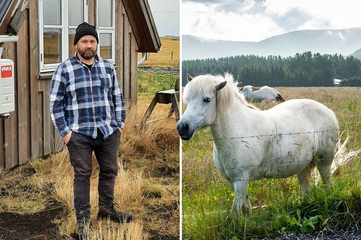 Baldur fann hrossin dauð úti í haga fyrir rúmri viku en frétti ekki af gæsaskyttunni fyrr en um helgina.