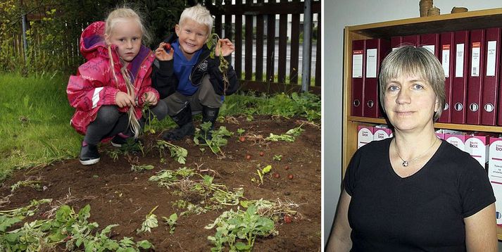 Kartöflugarðurinn er illa leikinn eftir skemmdarverk. Elín Erna Steinarsdóttir, leikskólastjóri á Bakkaborg, segir börnin hafa orðið fyrir tilfinningatjóni.
