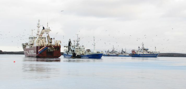 Hér eru fimm bátar inni á voginum þar sem Lundey NS strandaði á dögunum. Hofstaðavogur er minni en Reykjavíkurtjörn.