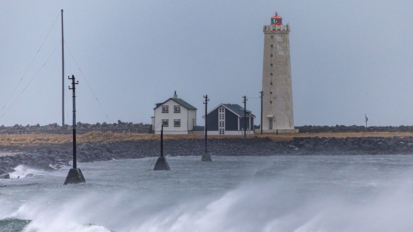 Við­reisn býður fram undir merkjum Sam­fylkingar