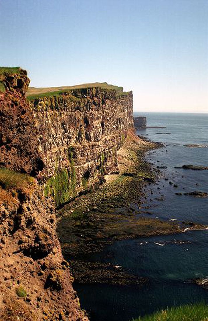Látrabjarg