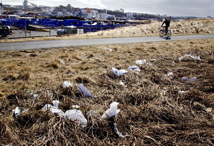 Árlega eru 300 milljón tonn af plasti framleidd í heimum og skilar aðeins lítill hluti sér til endurvinnslu.