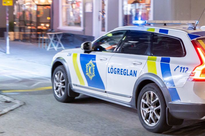 Lögreglan þurfti að sinna einhverjum verkefnum í miðbæ Reykjavíkur í nótt.