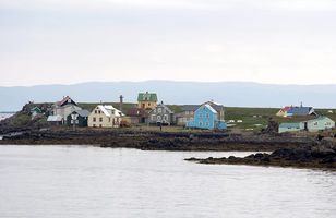 Fréttamynd