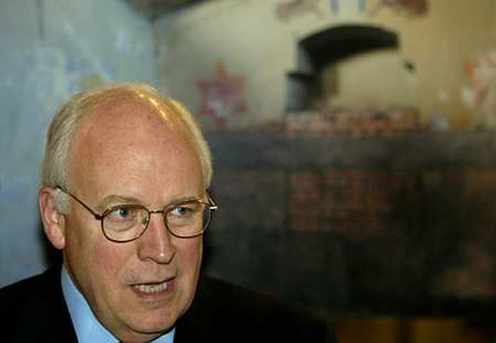 Dick Cheney, varaforseti Bandaríkjanna.