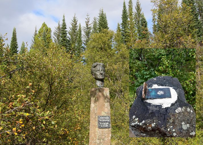 Þessi stytta, brjóstmynd af Þorsteini Valdimarssyni skáldi, sem stóð í Trjásafninu Hallormsstað er horfin.